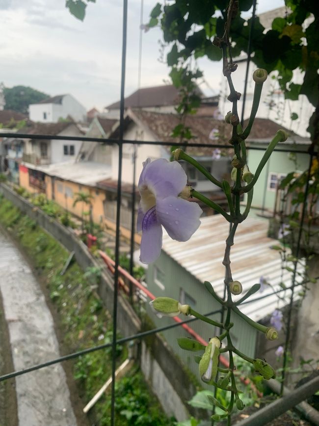 Malang y sus alrededores