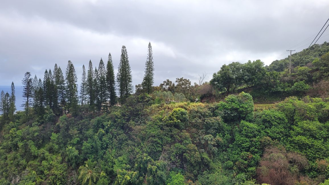 Oh my God, what a ride ... up to Nakalele Point, grrrrr :(