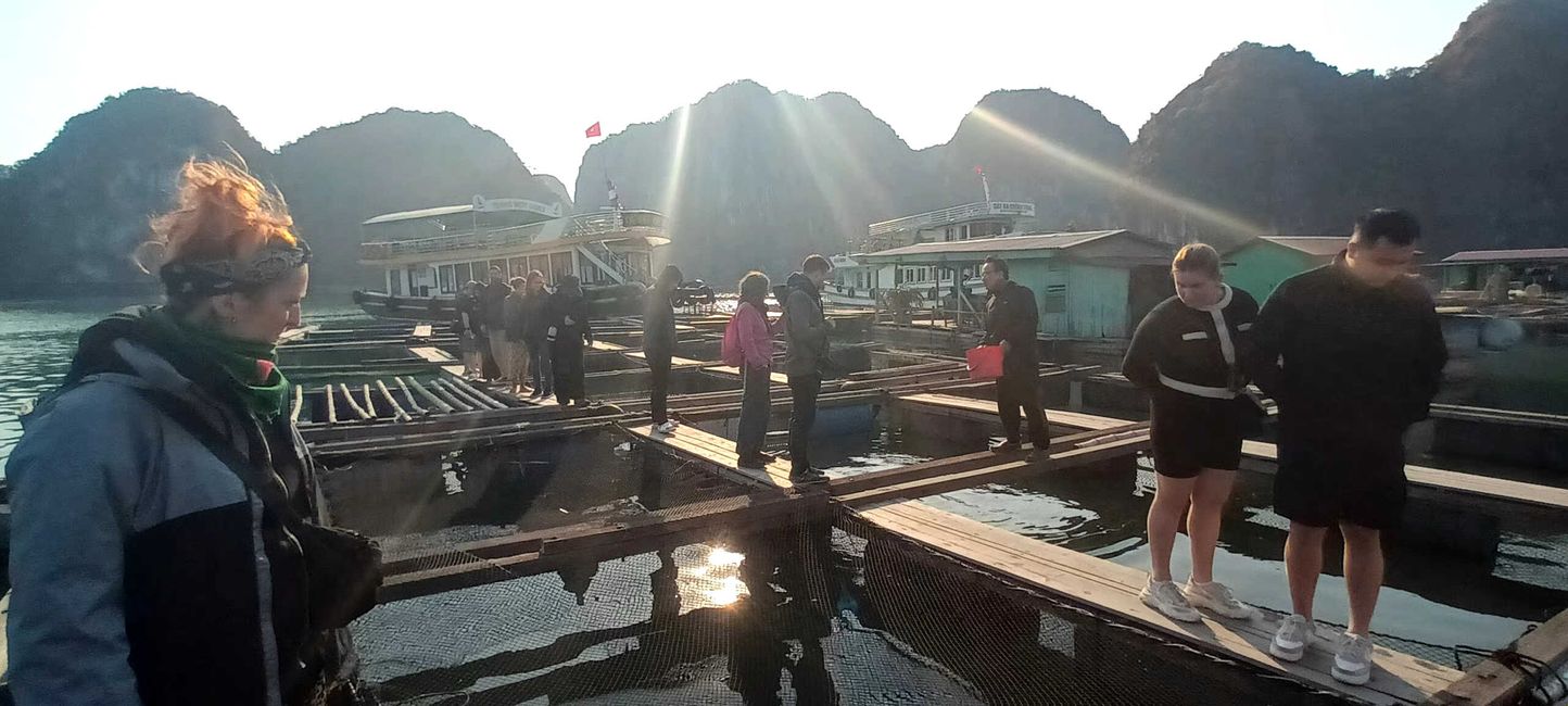2025-01-11 Cat Ba, Vietnam