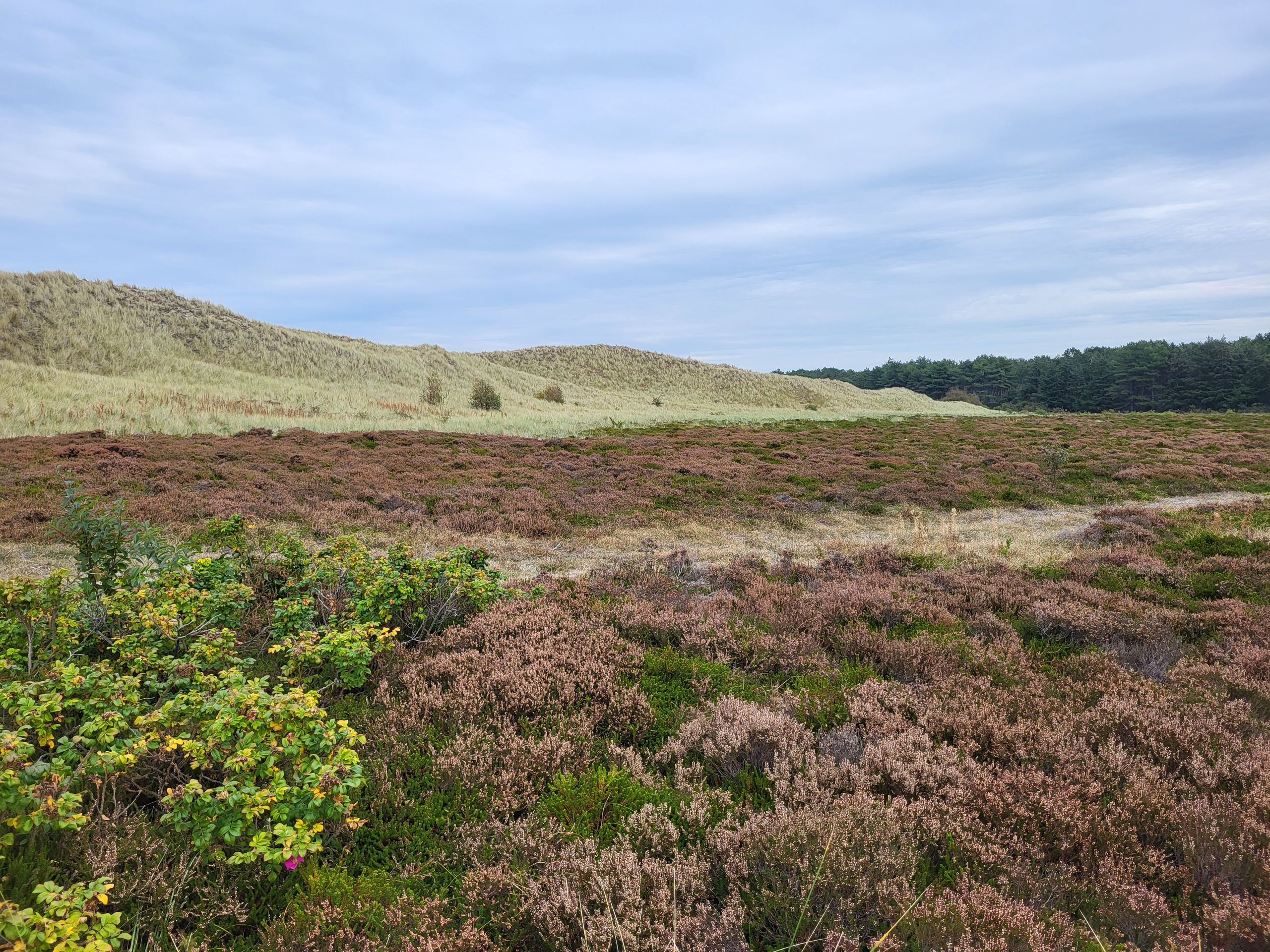 Randonnée Amrum