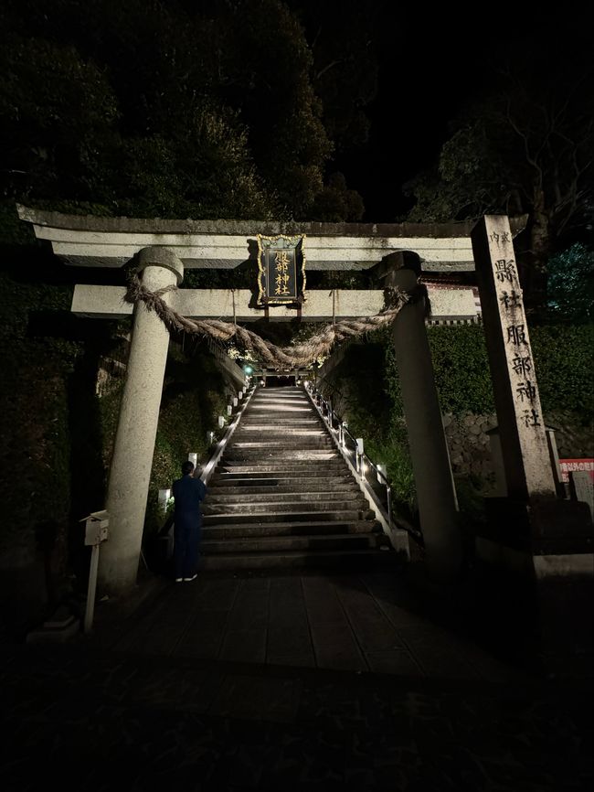 Shrine by night