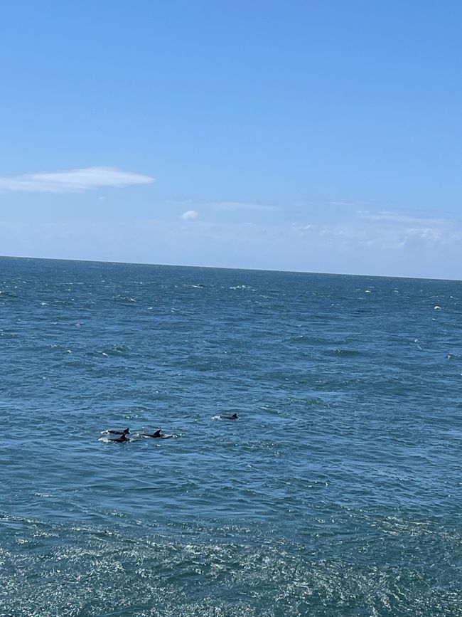 Nambucca Heads