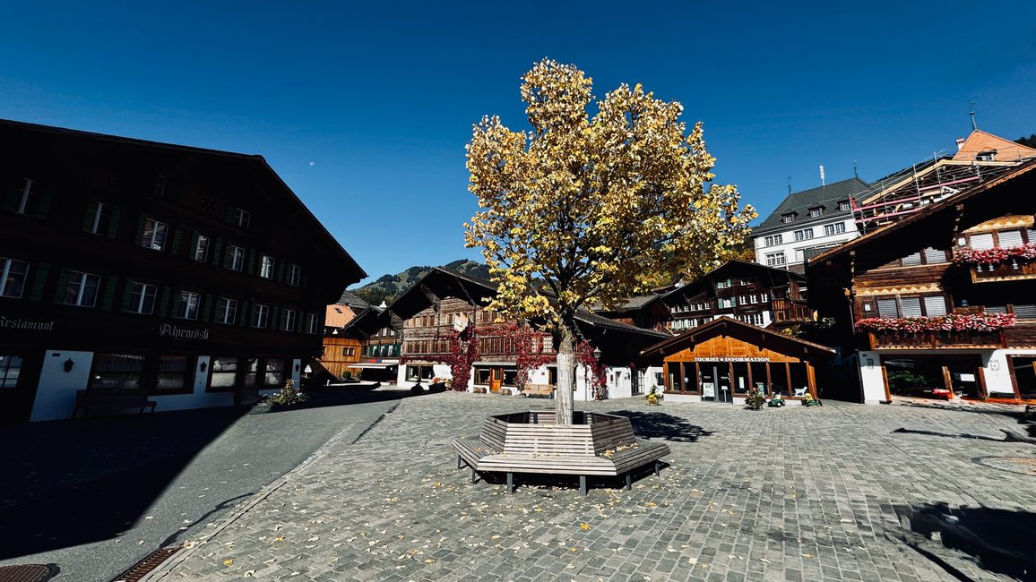 Zweisimmen 11-12 Ott. 25