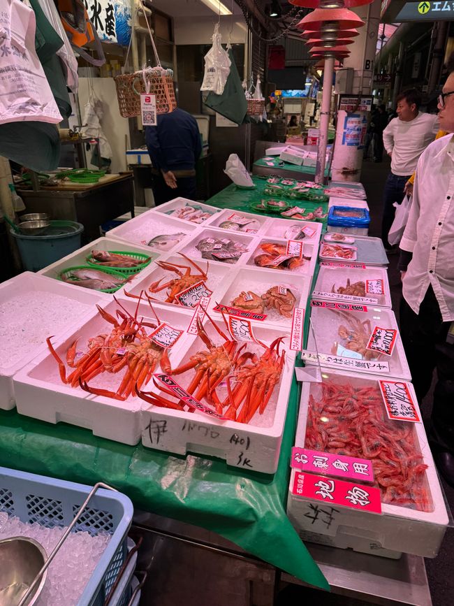 Part 8 Japan 🇯🇵 Kanazawa