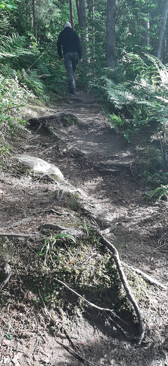 Durchs Gelände