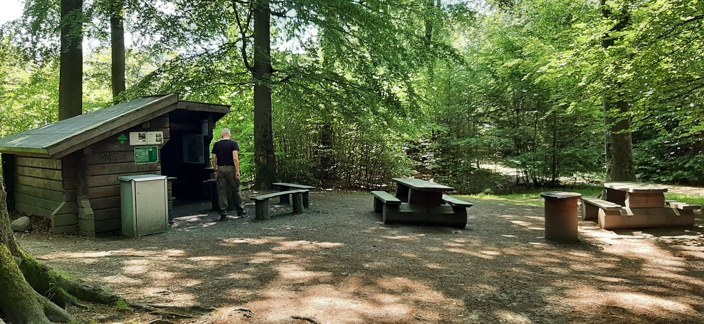 Schutzhütte und Bänke im Wald