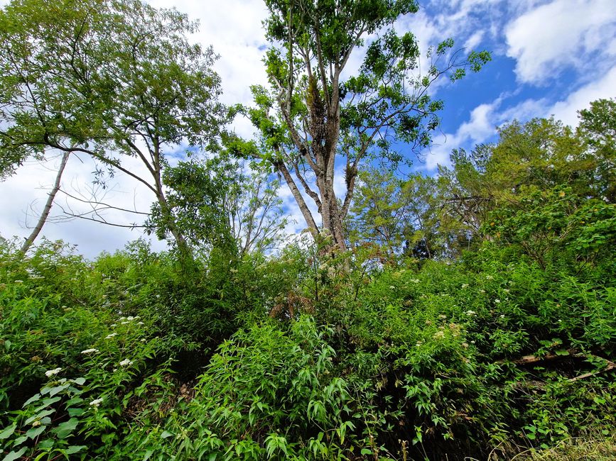 Horas, Danau Toba und ein Wiedersehen nach 34 Jahren