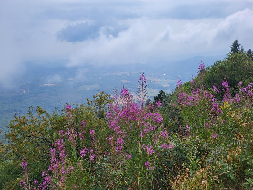 Wanderung Puy de Dôme 