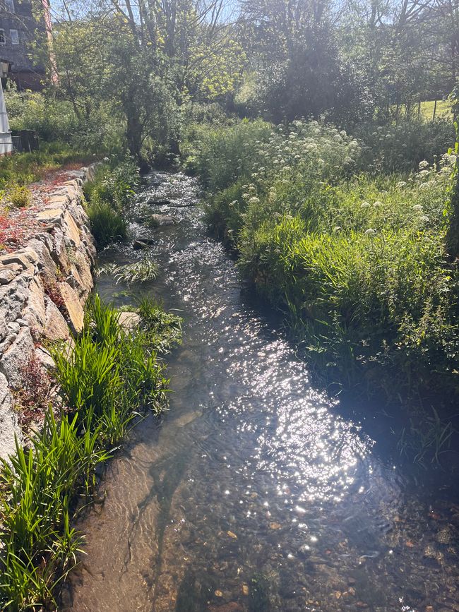Fene di Neda-Pontedeume