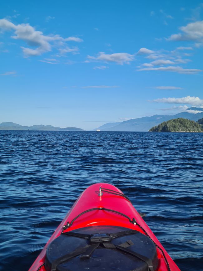 Kayaking tour in Telegraph Cove