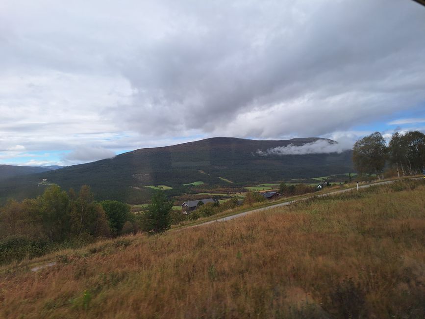 Etiqueta 14 Viaje en tren Bodö-Trondheim-Andalsnes