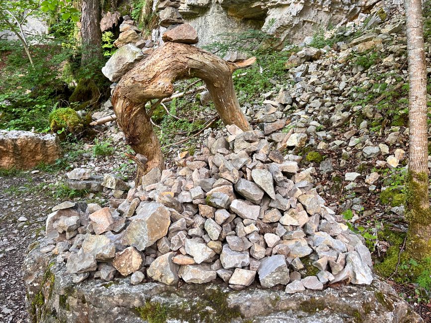 28 Wutachschlucht Pro Wolermoos