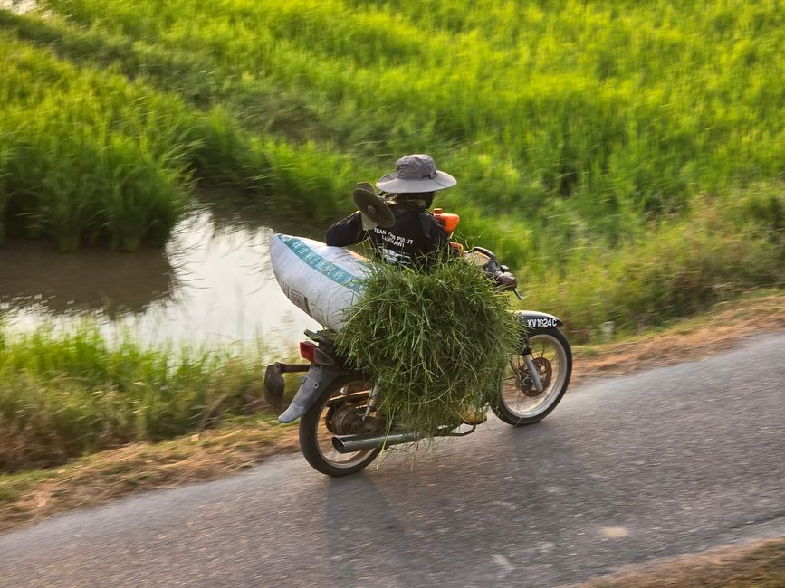 Langkawi - Reif für die Insel!