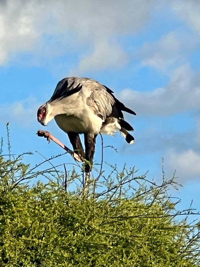 Nairobi zur Sarova Shaba Game Lodge