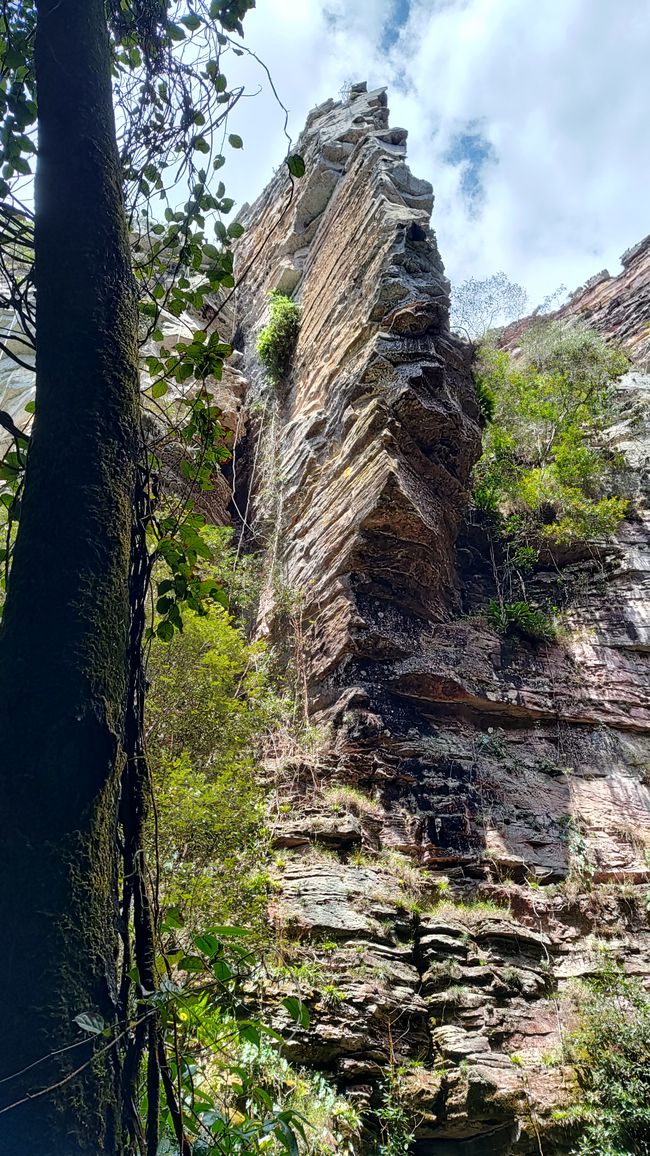 Brasilien, Nationalpark Diamantes Teil II