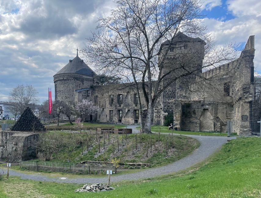 Stadtburg Andernach