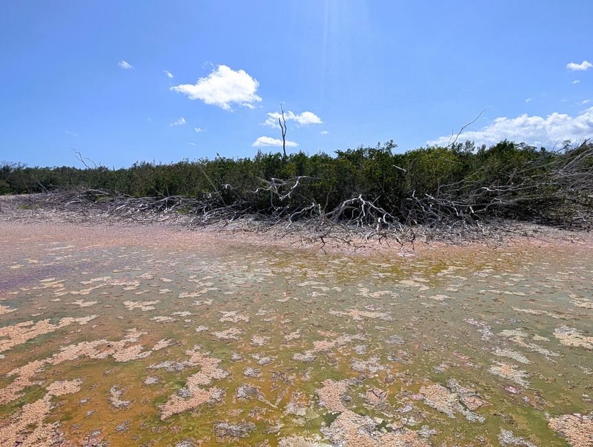 Everglades National Park
