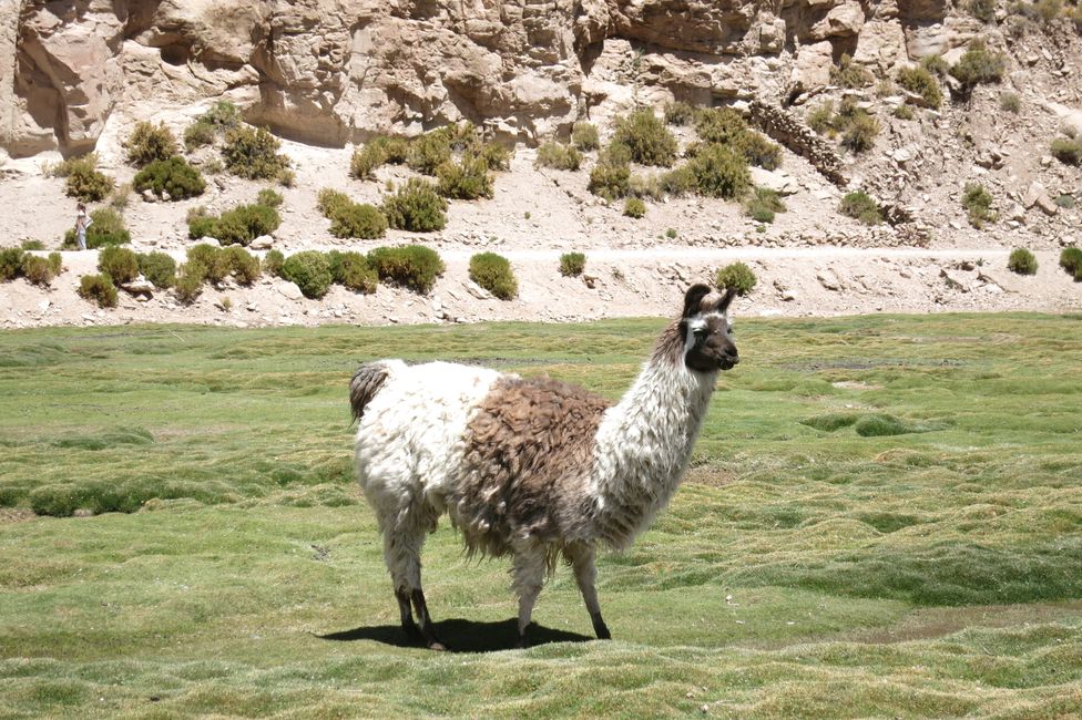 El desierto de sal en Bolivia