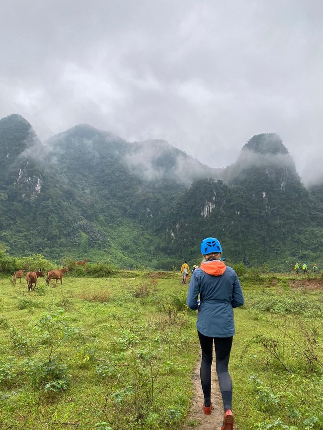 Phong Nha Nationalpark