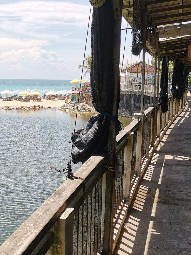 Bali - Reisfelder und Surfhotspot