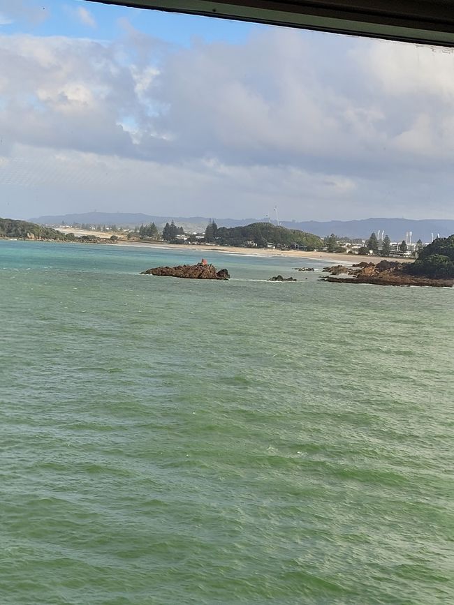 Día 68 de 175: Crucero alrededor del mundo - Tauranga/Nueva Zelanda