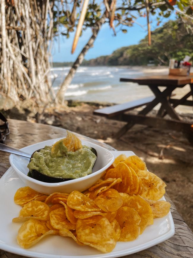 Puerto Viejo de Talamanca 🦥