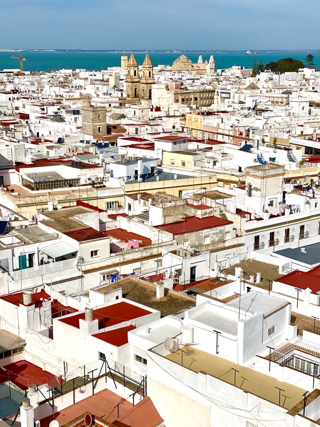 Cadiz - dream city on the Atlantic and the first day without driving!