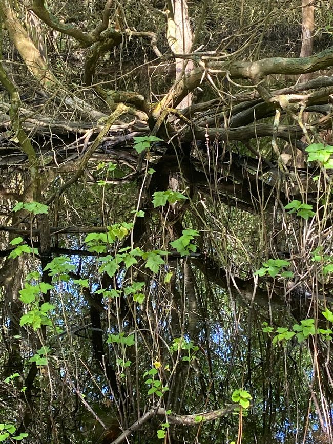 27.05.2024 Montag 