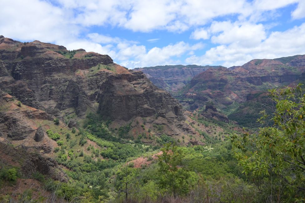 Canyon de Waimea