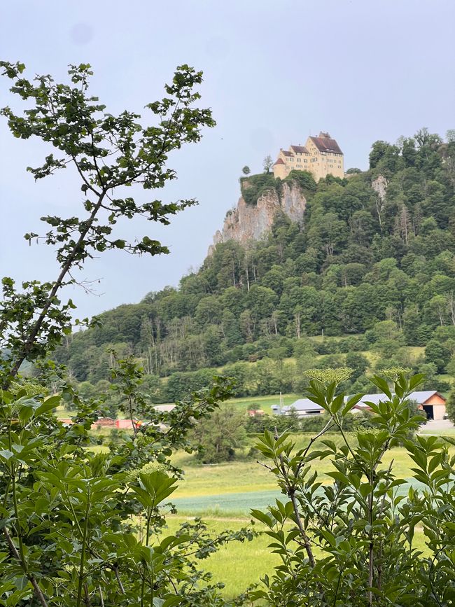 24 nach Donaueschingen