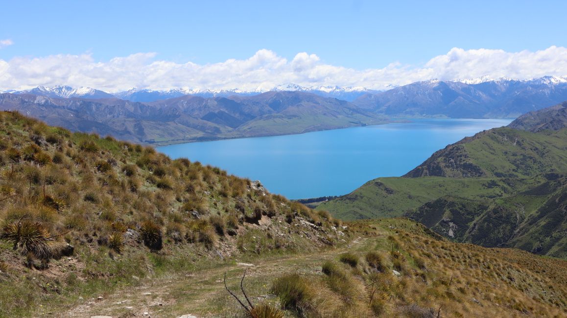 Vue sur le lac Hawea depuis le Grandview Mountain