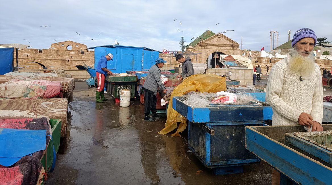 Essaouira