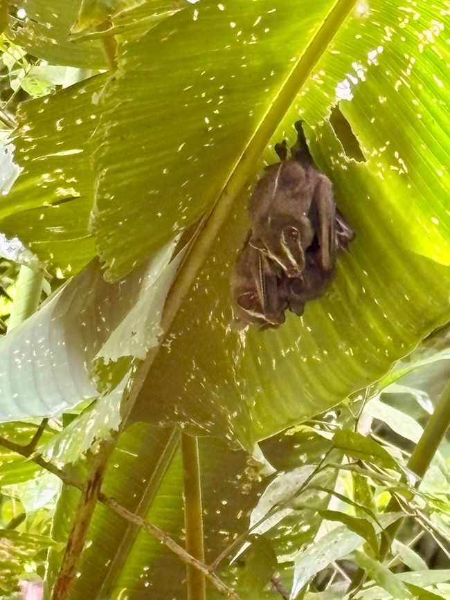 Unterwegs in Costa Rica
