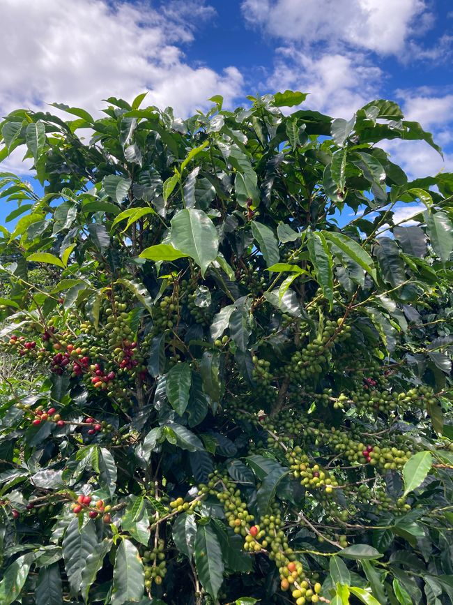 Viel Aufregendes und Schönes erlebt