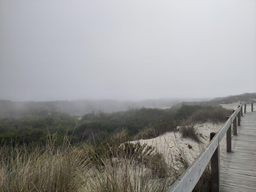 Fog, Sun, and an Unforgettable Evening
