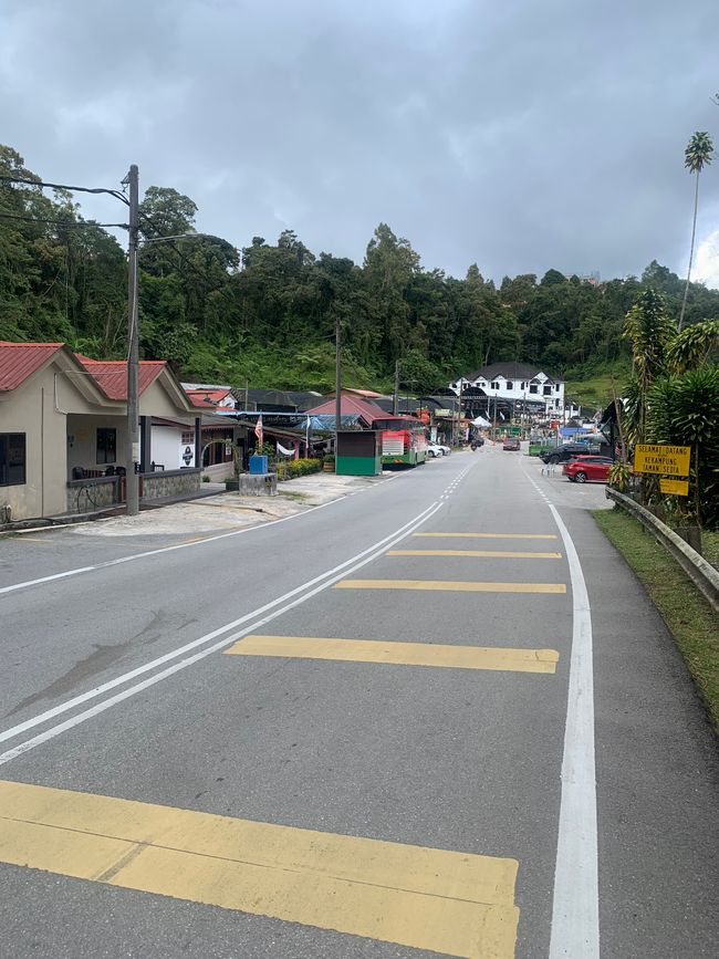 Cameron Highlands