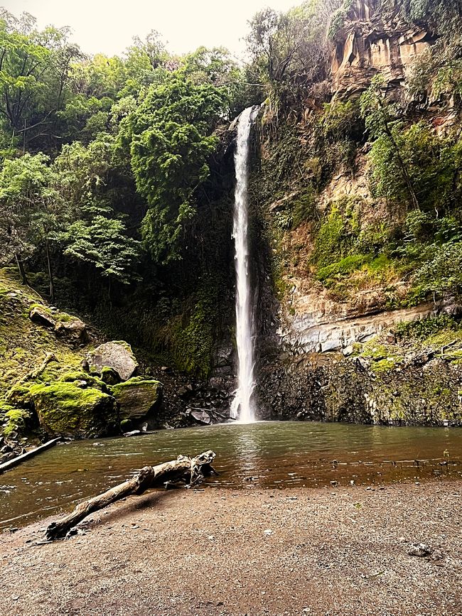 Cascada Ogi