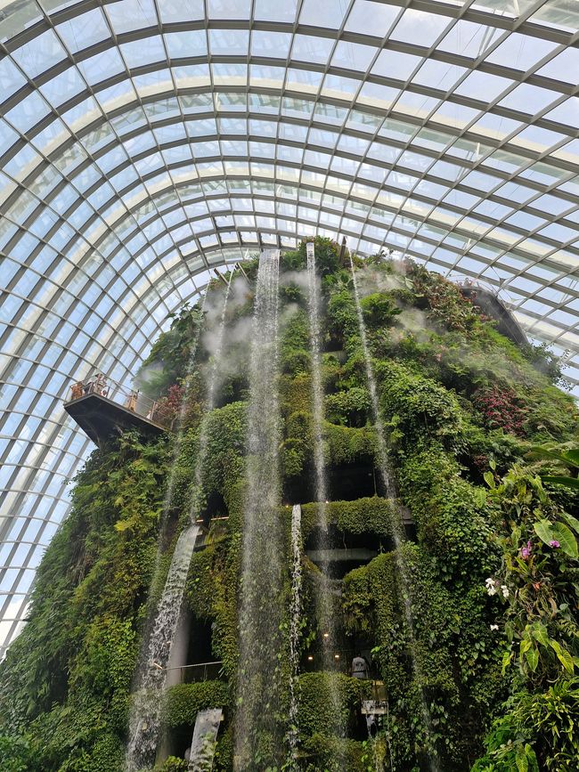 Cloud Forest - Wasserfall