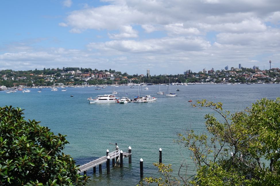 Le baie e le spiagge di Sydney ....