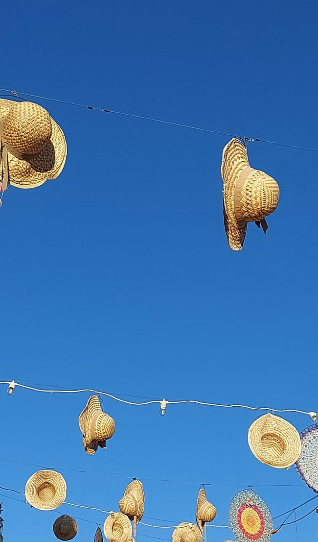 Alberobello: der schöne Baum