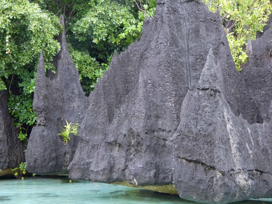 Misool, Nuova Guinea occidentale, Indonesia, escursione in Zodiac
