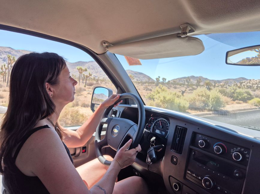 Joshua Tree