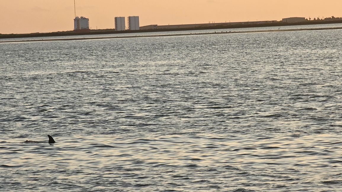 5 jours à South Padre Island 🌴