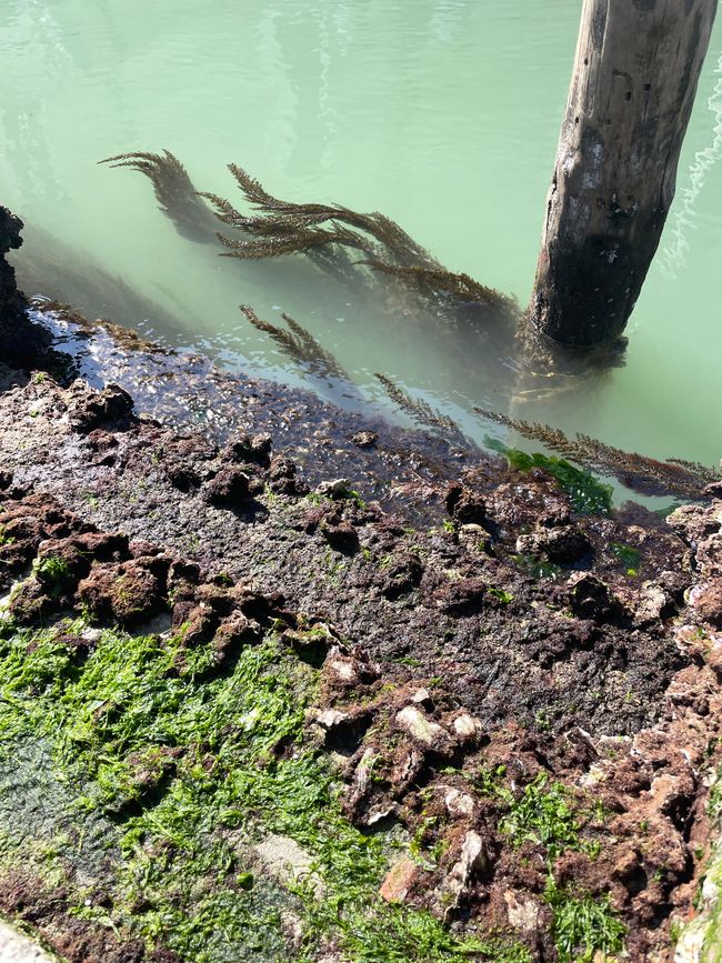 Basso livello dell'acqua 