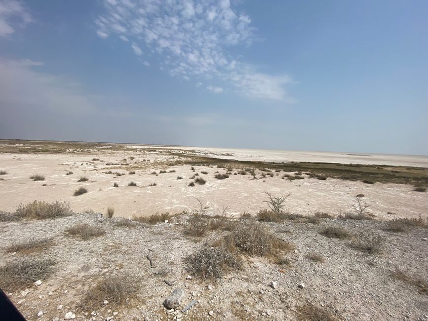 Etosha National Park 🐘🦒