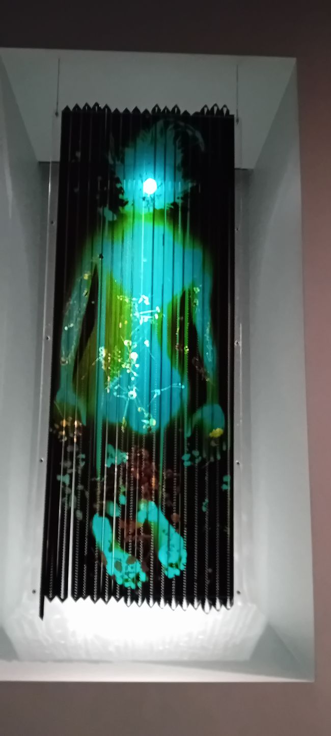 Len Lye Gallery 