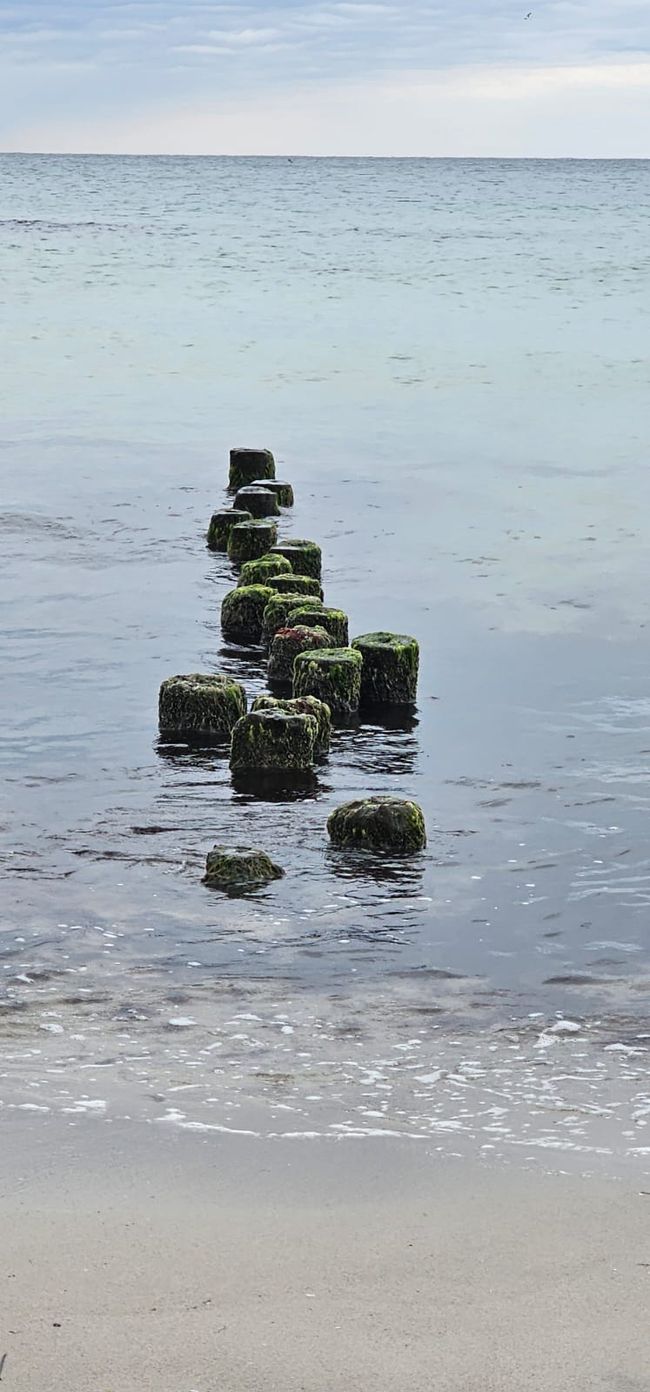 Ahrenshoop Strand