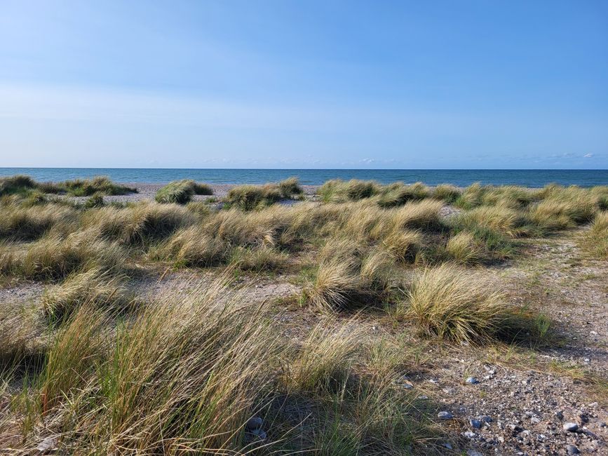 Naturschutzgebiet "Grüner Brink"