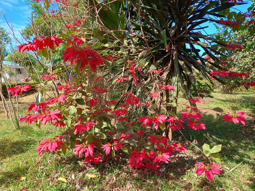 Cabe;a do Velho (Hausberg de Chimoio) et visite de LeMuSiCa
