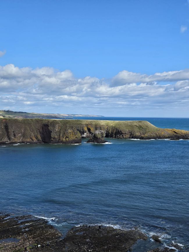 Küste vom Dunnottar Castle